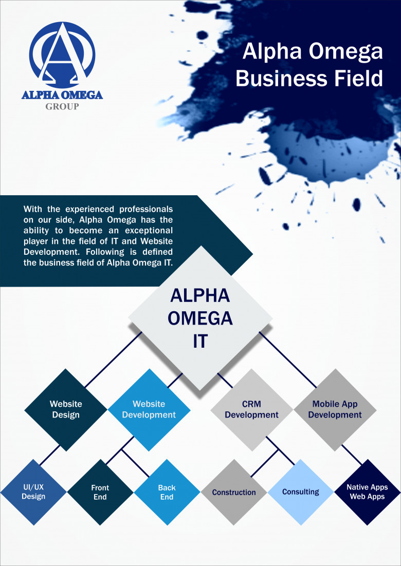 ALPHA OMEGA GROUP