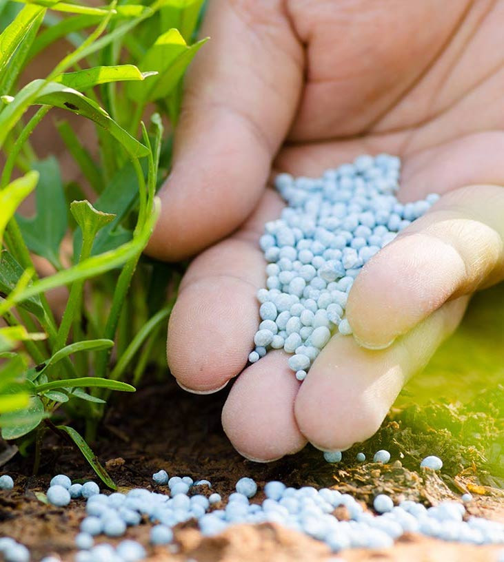 Food Testing Lab in Pune | Food Quality Testing Lab - Bioscience Biotech Laboratory.