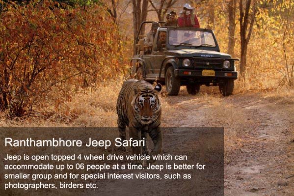 ranthambore