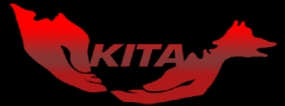 nikitaguinata