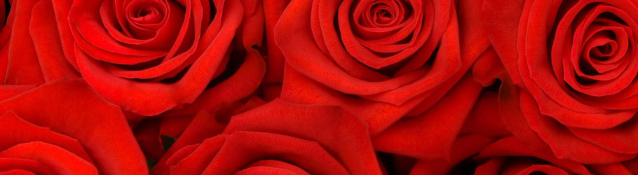 creators heart design