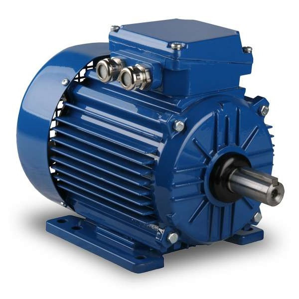 AC Electric Motor