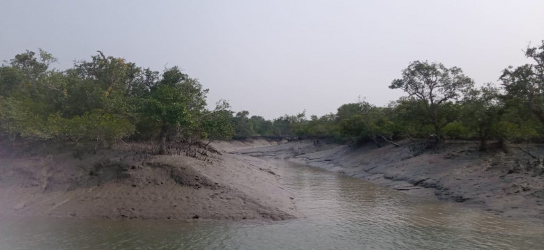 Sundarban tour 2 night 3 days