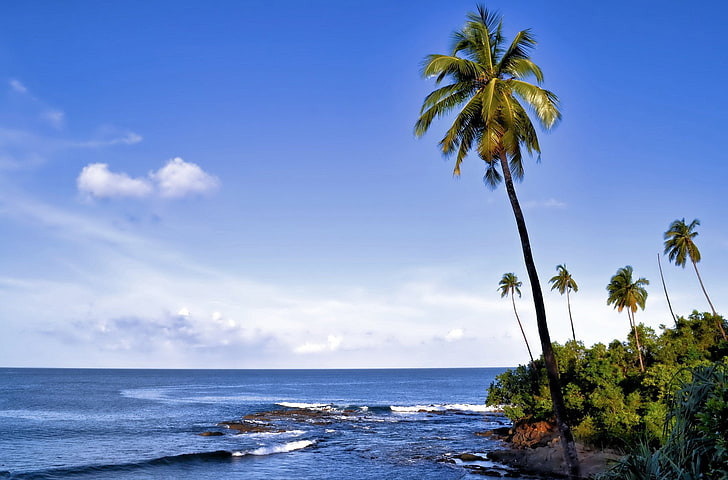 Best travel agency in Andaman at affordable Andaman tour package cost - Holiday Treasure India