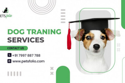 Dog training and grooming services in india -Petsfolio